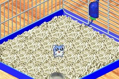 Hamster Monogatari 2 screenshot 1 for GameBoy Advance